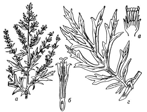 Большая Советская Энциклопедия (ЧЕ) i009-001-209134868.jpg
