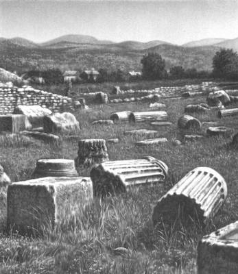 Большая Советская Энциклопедия (ЧЕ) i010-001-263964038.jpg