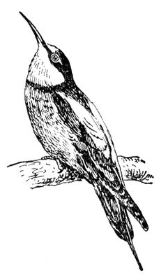 Большая Советская Энциклопедия (ЩУ) i010-001-270075508.jpg