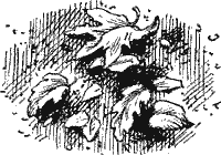 Повести и рассказы Sob23131.png