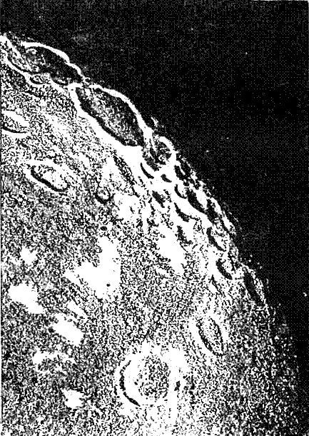 Семья Солнца i_047.jpg