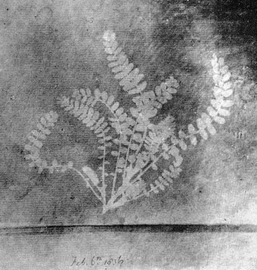 Дагерр, Ньепс, Тальбот. К столетию открытия фотографии TALBOT4.JPG