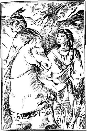Том 5. Золотая лихорадка. Курумилла i_002.jpg