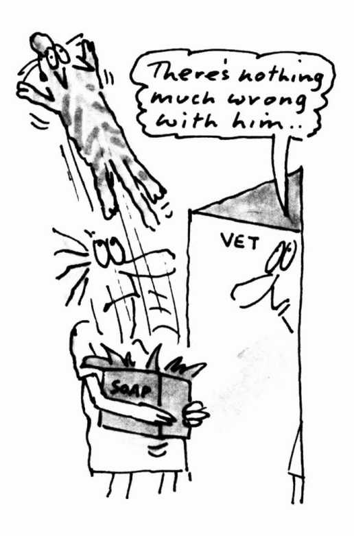 The Unadulterated Cat i2.jpg