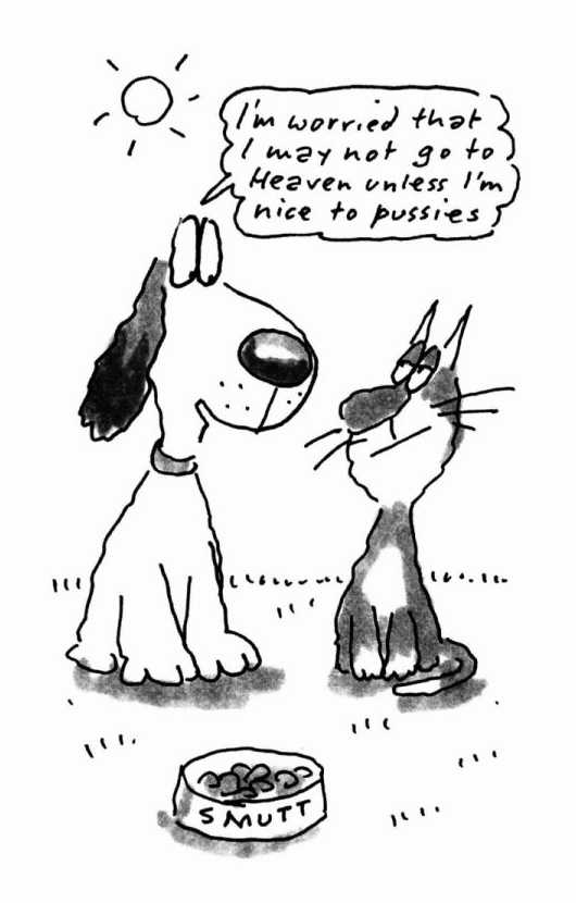 The Unadulterated Cat i3.jpg