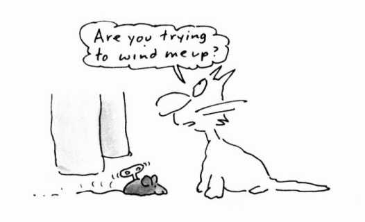 The Unadulterated Cat i5.jpg