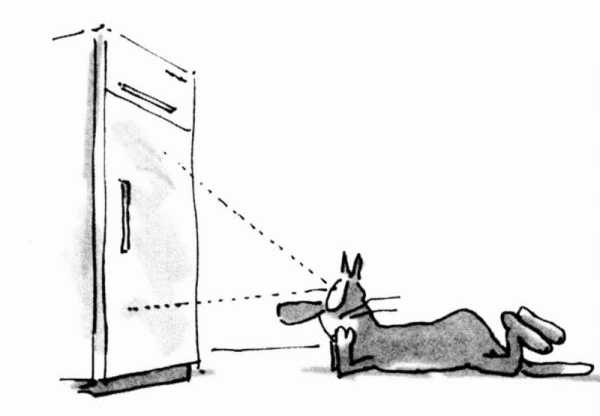 The Unadulterated Cat i6.jpg