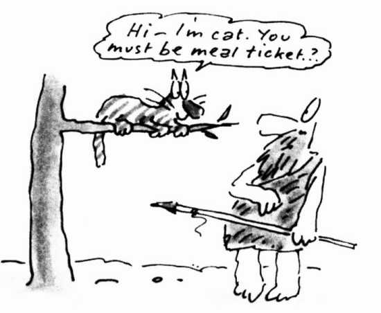 The Unadulterated Cat i8.jpg