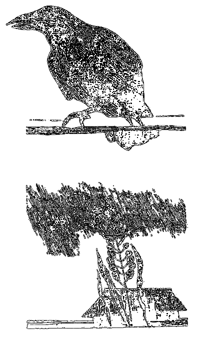 Возможность выбора i_012.png