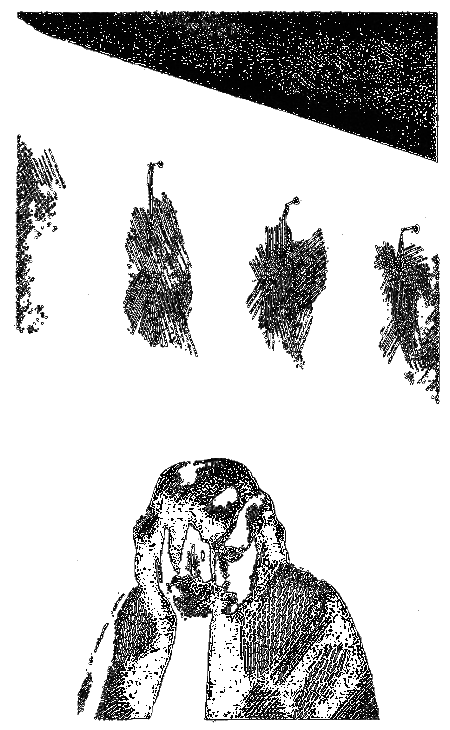 Возможность выбора i_009.png