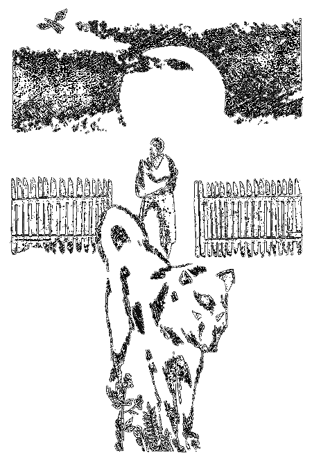Возможность выбора i_010.png