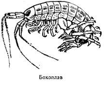 Волны над нами i_012.jpg