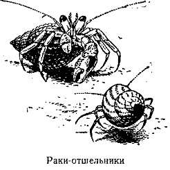 Волны над нами i_014.jpg
