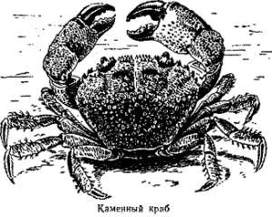 Волны над нами i_016.jpg
