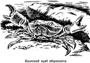 Волны над нами i_017.jpg