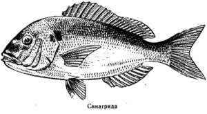 Волны над нами i_031.jpg
