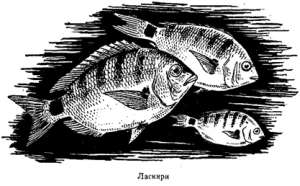 Волны над нами i_032.jpg