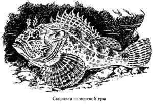 Волны над нами i_034.jpg
