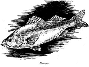 Волны над нами i_037.jpg