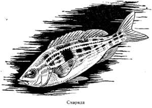 Волны над нами i_038.jpg