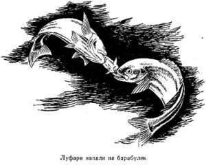 Волны над нами i_040.jpg