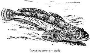 Волны над нами i_041.jpg