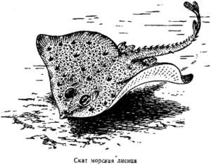 Волны над нами i_049.jpg