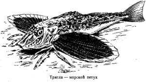 Волны над нами i_056.jpg