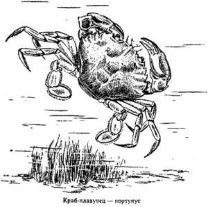 Волны над нами i_057.jpg