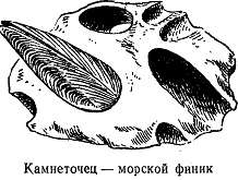 Волны над нами i_058.jpg