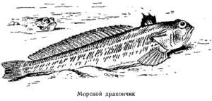Волны над нами i_059.jpg