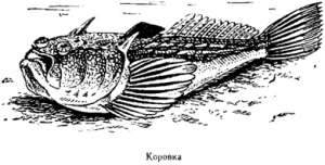Волны над нами i_063.jpg