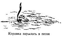Волны над нами i_064.jpg