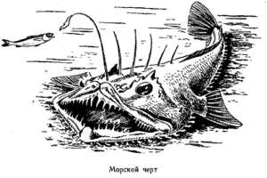 Волны над нами i_065.jpg