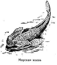 Волны над нами i_066.jpg