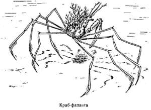 Волны над нами i_070.jpg