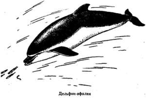 Волны над нами i_080.jpg