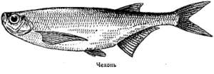 Волны над нами i_087.jpg