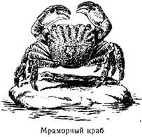 Волны над нами i_004.jpg