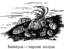 Волны над нами i_005.jpg