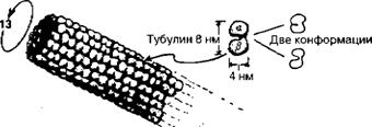 Большое, малое и человеческий разум pic71.jpg