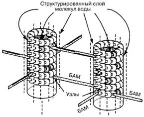Большое, малое и человеческий разум pic72.jpg