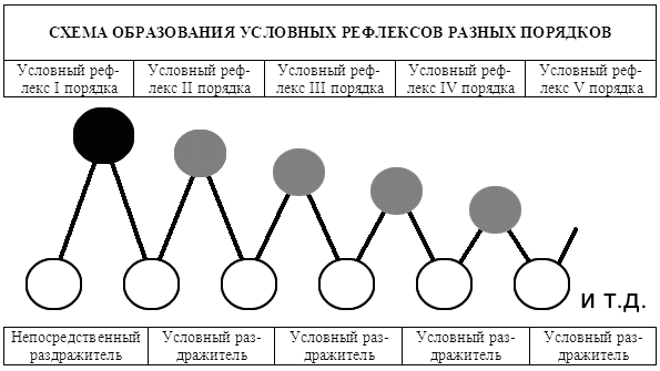Курс теории дрессировки собак. Военная собака i_007.png