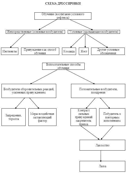 Курс теории дрессировки собак. Военная собака i_012.png
