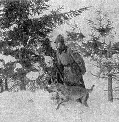 Курс теории дрессировки собак. Военная собака i_020.jpg