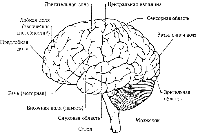 ГЕДЕЛЬ, ЭШЕР, БАХ: эта бесконечная гирлянда i_085.png