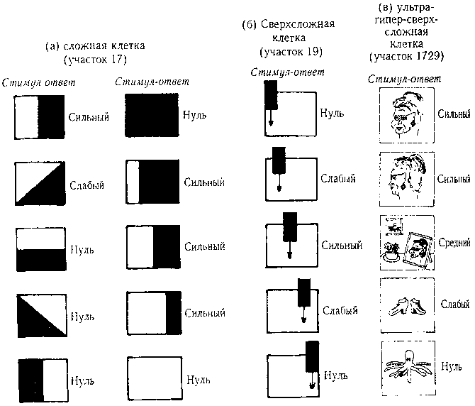 ГЕДЕЛЬ, ЭШЕР, БАХ: эта бесконечная гирлянда i_086.png