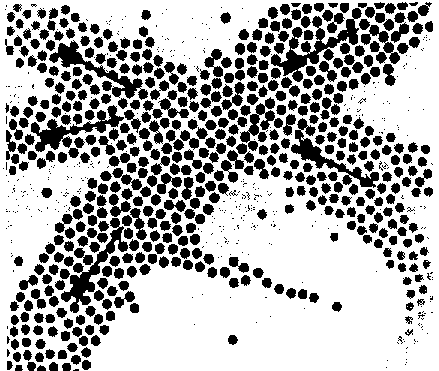 ГЕДЕЛЬ, ЭШЕР, БАХ: эта бесконечная гирлянда i_087.png