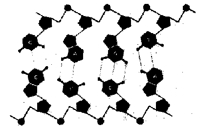 ГЕДЕЛЬ, ЭШЕР, БАХ: эта бесконечная гирлянда i_118.png