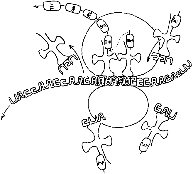ГЕДЕЛЬ, ЭШЕР, БАХ: эта бесконечная гирлянда i_122.png